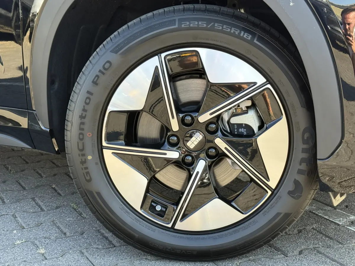 Pro+ 68 kWh | Long Range | 8 jaar garantie | Geely Specilist