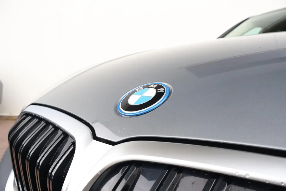 320e | SoH 98% | PDC | Cruise Control | Climate Control | Achteruitrijcamera | Leder |