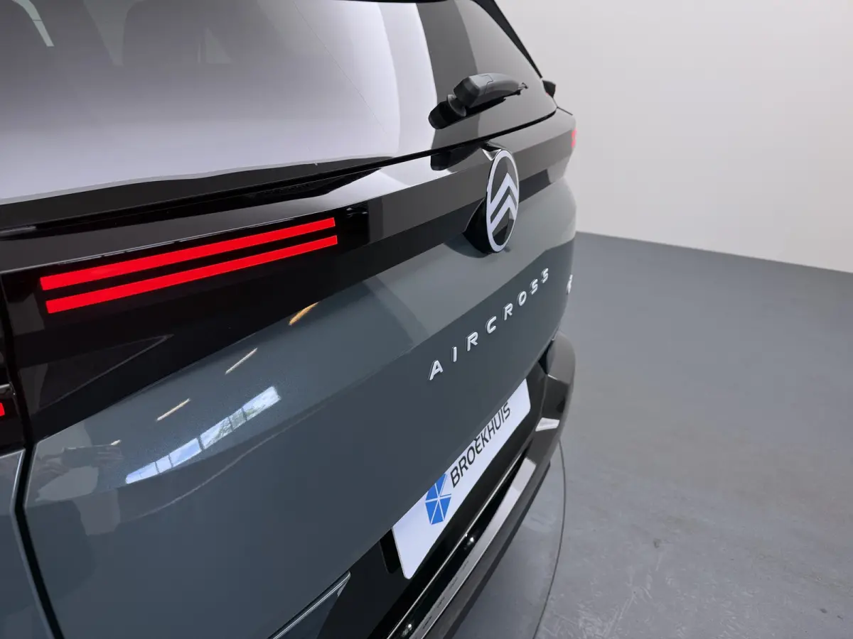 Business | Boordlader 7,4kW - 1 fase | Extra getinte achterste zijruiten en achterruit