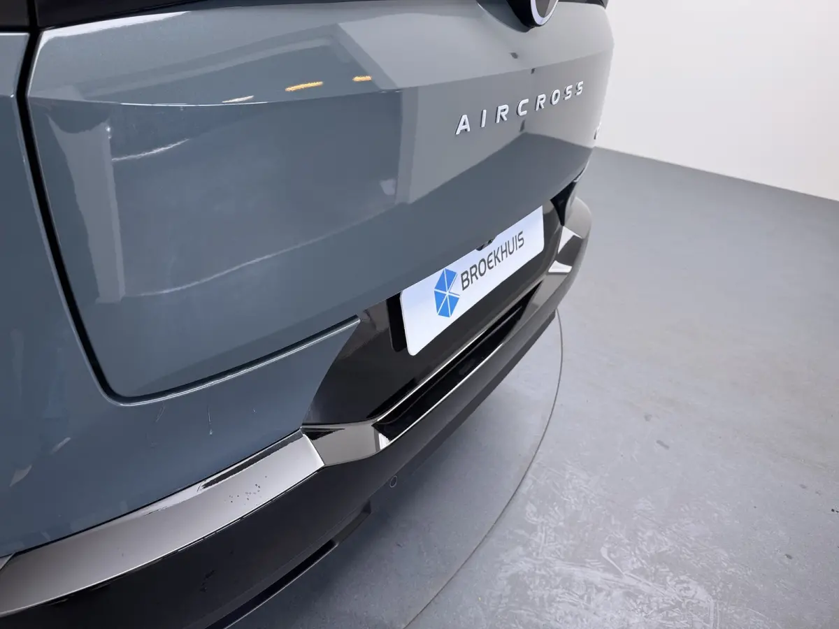 Business | Boordlader 7,4kW - 1 fase | Extra getinte achterste zijruiten en achterruit