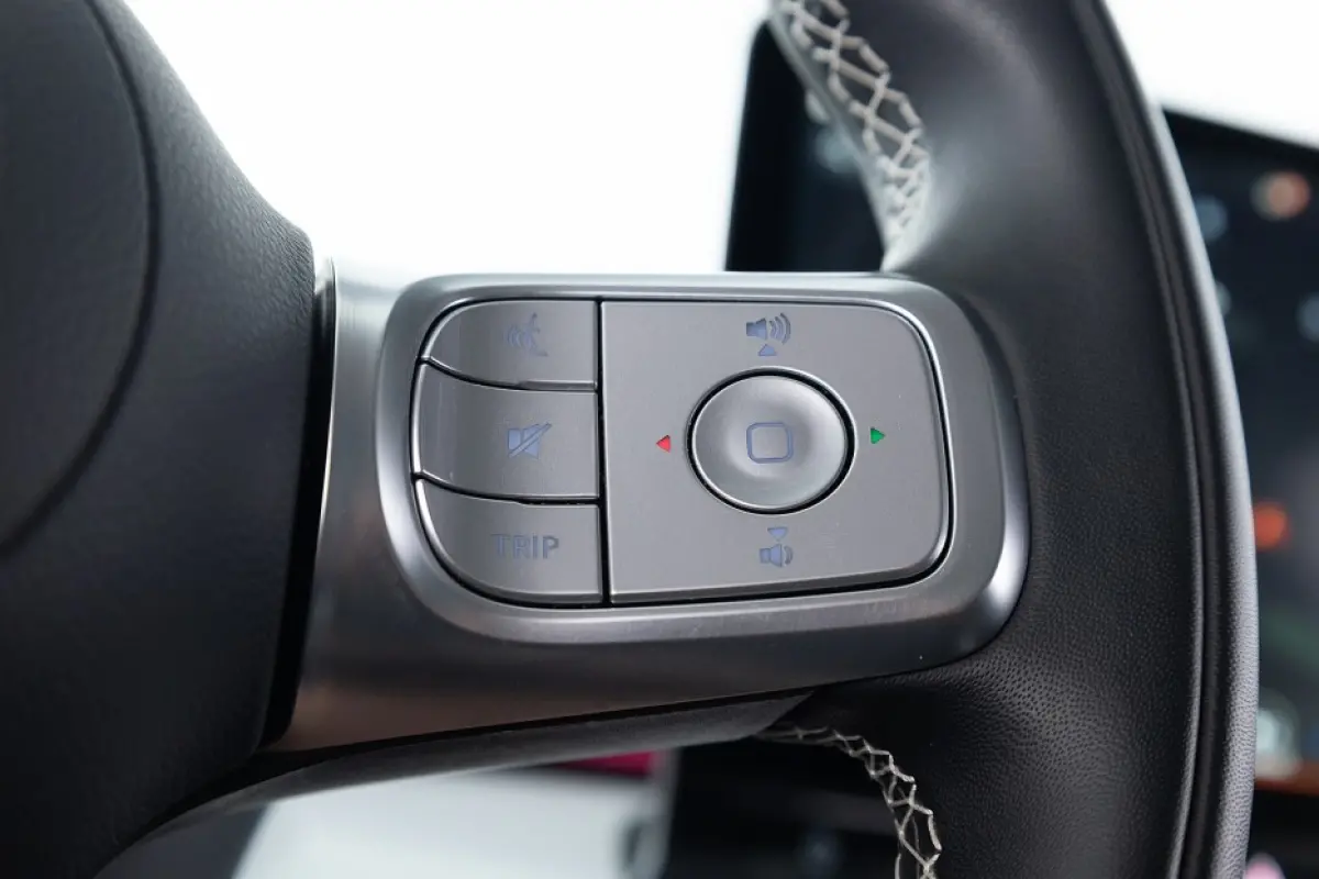 66kWh Premium | PANORAMA | BEATS | LEDER | *SOH 97,8% | Ceramic cream !