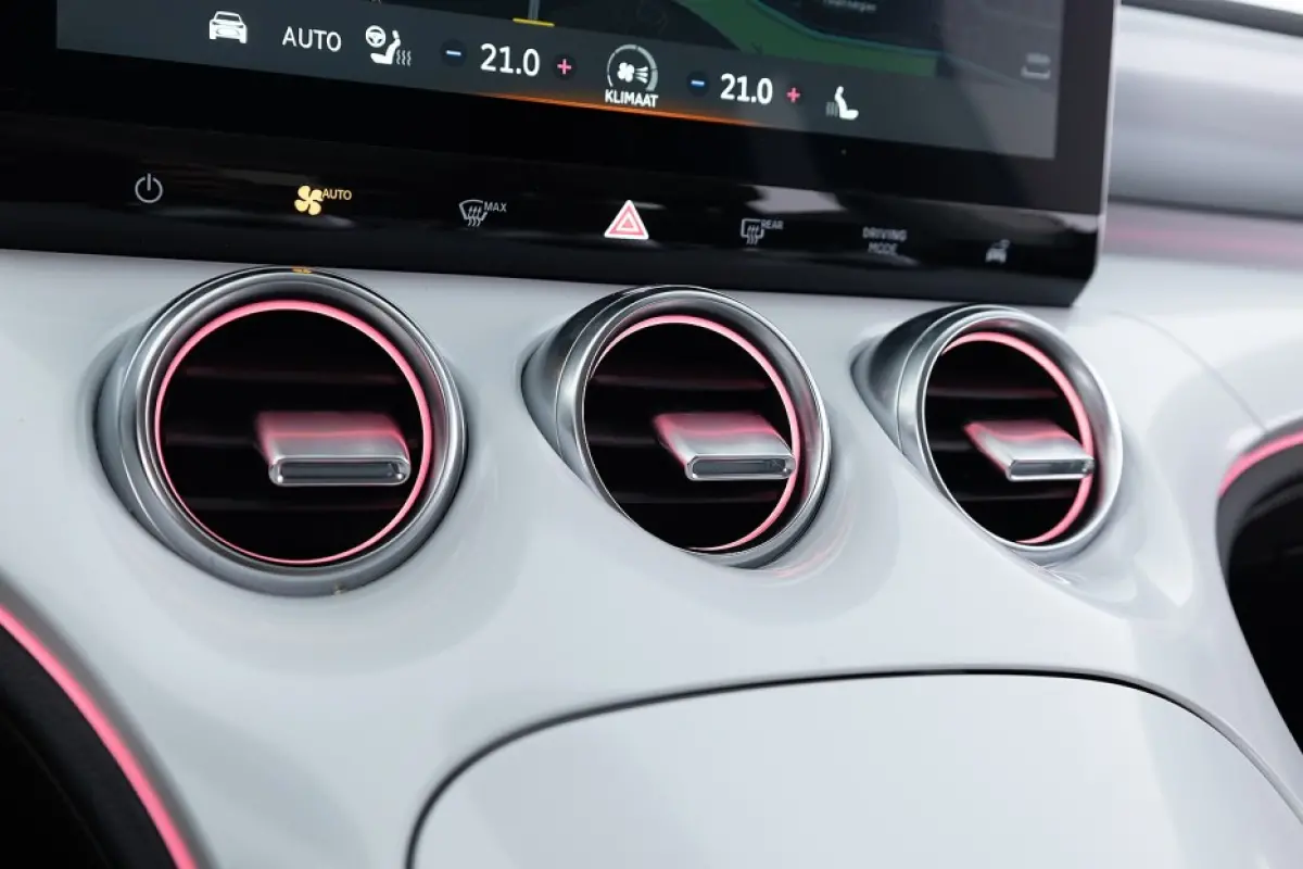 66kWh Premium | PANORAMA | BEATS | LEDER | *SOH 97,8% | Ceramic cream !