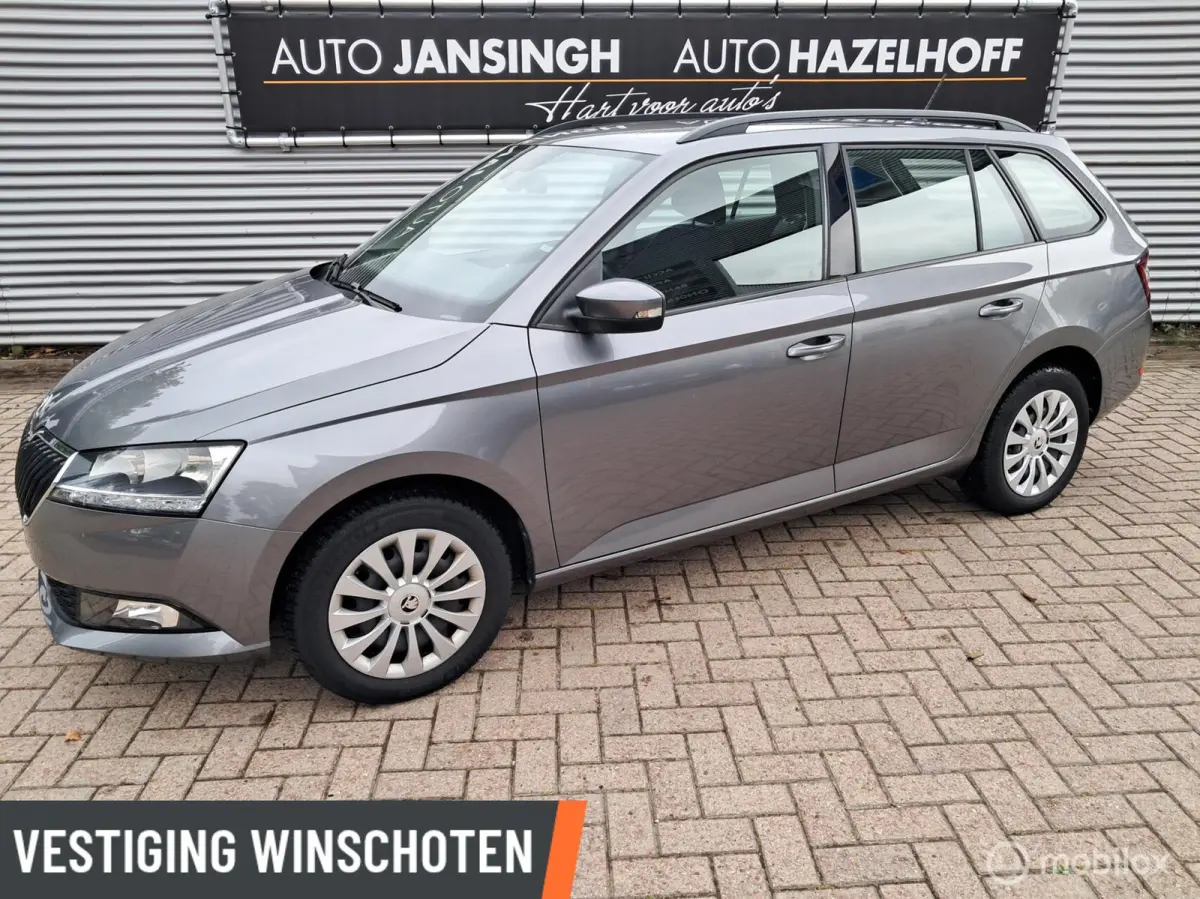 1.0 TSI Ambition van 1e Eigenaar!