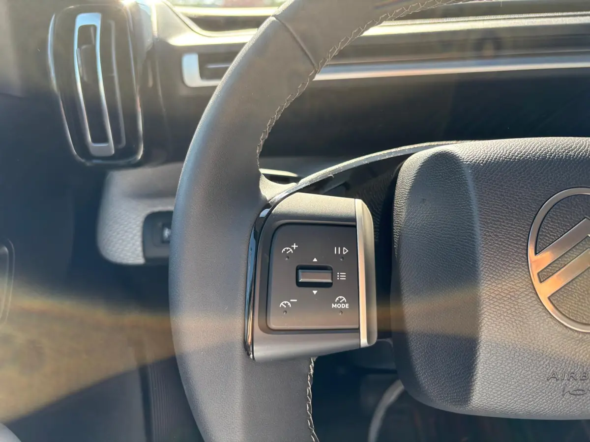 Max 113pk 44 kWh Navigatie/Camera/Parkeerhulp/Carplay-android