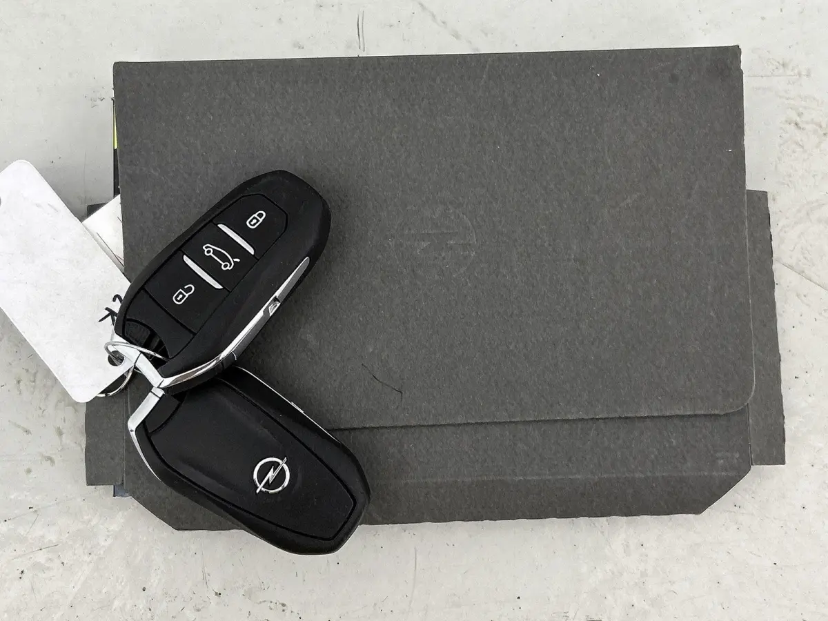 1.2 Level 2 | 110pk | Apple Carplay/Android Auto | Trekhaak | Parkeersensoren |