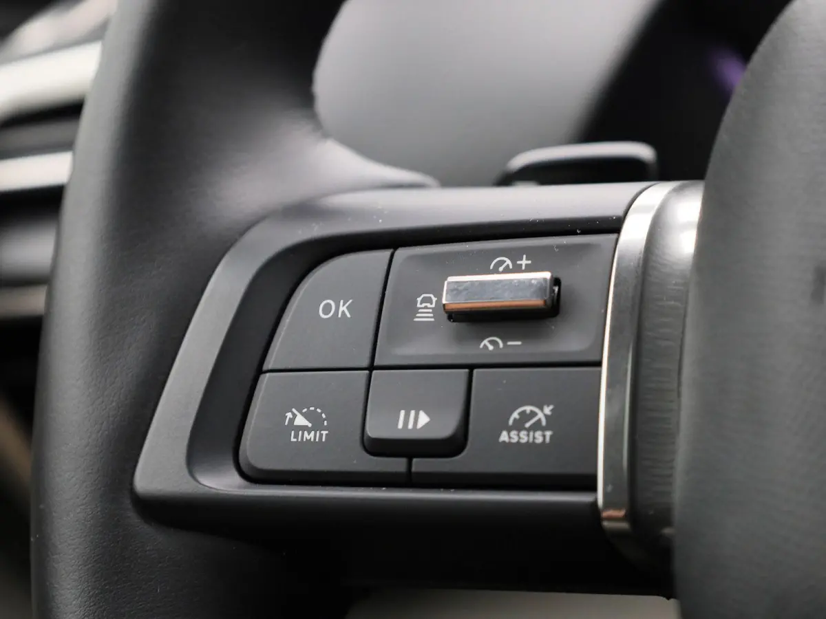 1.6 Plug-in Hybrid 225 Shine AUTOMAAT | PANORAMADAK | VIRTUEEL | NAVIGATIE | LEDER | CLIMA | ADAPTIEVE CRUISE | 360 CAMERA | APPLE CARPLAY | HEAD-UP | 12 MAANDEN BOVAG GARANTIE |