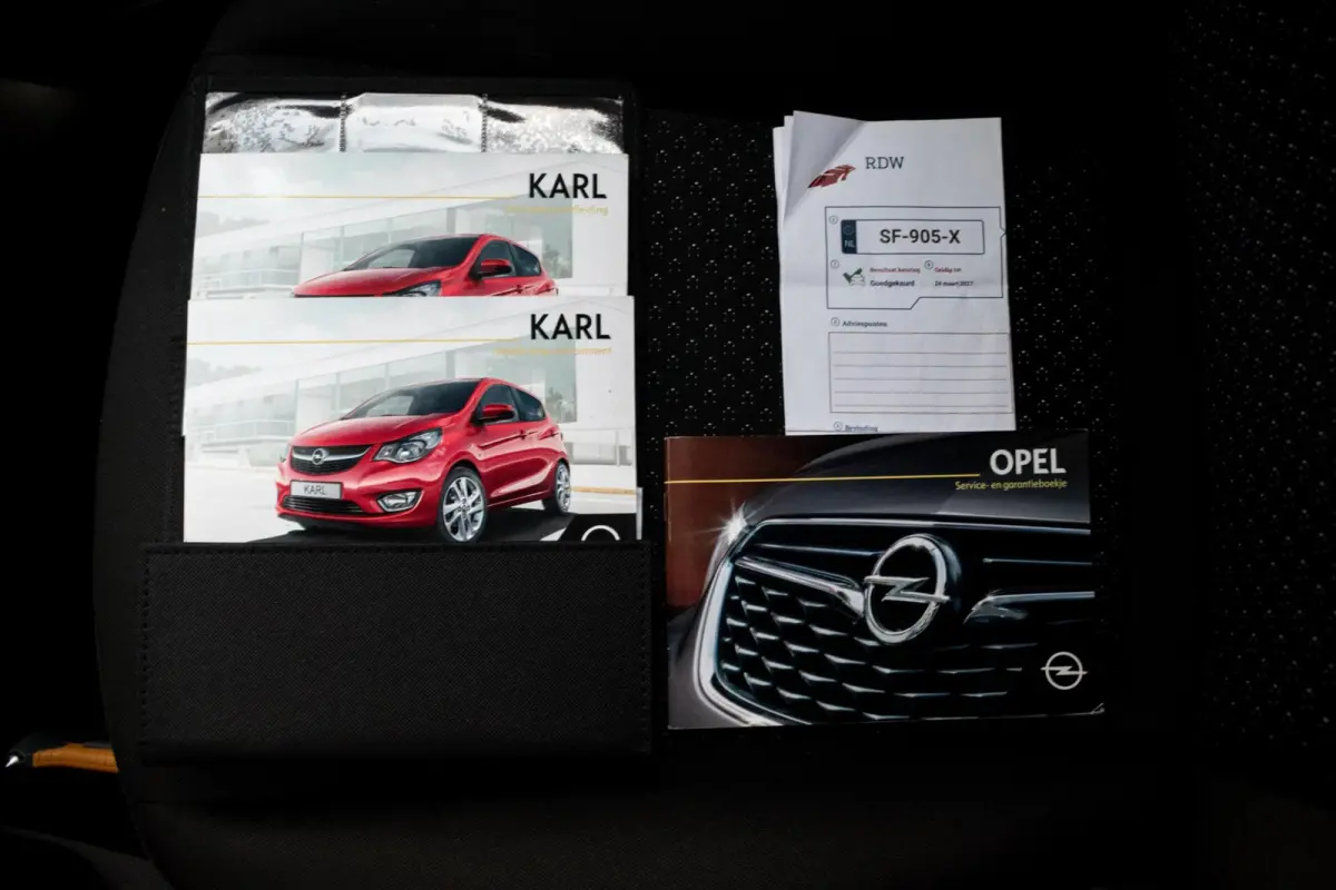 1.0 ecoFLEX Edition|1e EIGENAAR|CRUISE|AIRCO|BLUETOOTH|ELEK.PAKKET|5-DRS