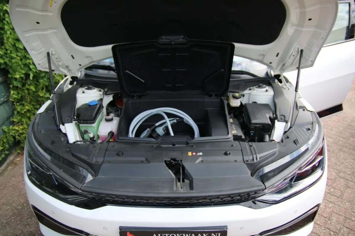 GT-Lin Edt 77.4 kWh | 99.9 SOH!