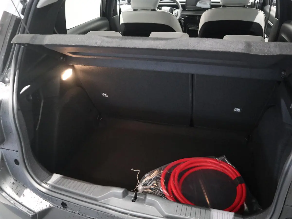 Max 113pk 44 kWh | NAV | CARPLAY ANDROID | 11kW BOORDLADER   CAMERA | COMFORT SEATS | 3 DKM |