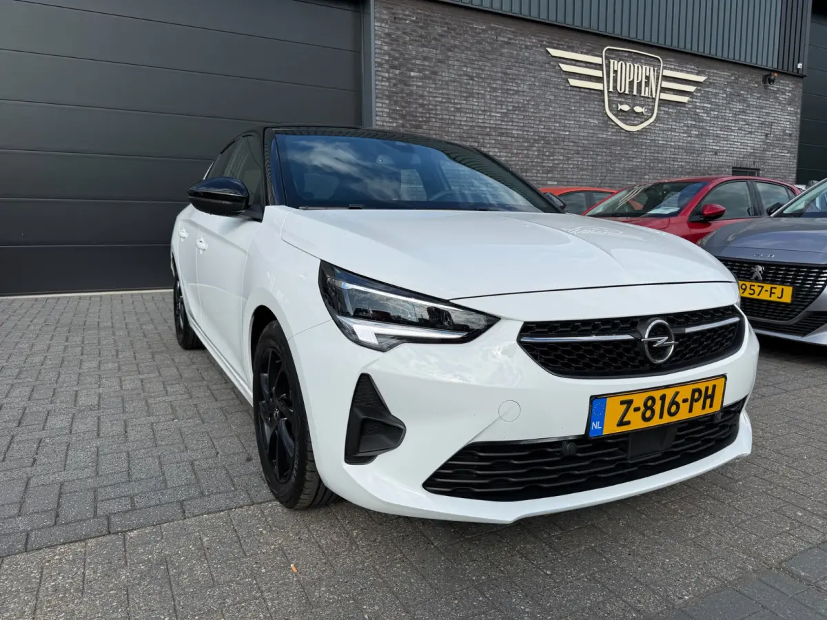 1.2 Turbo GS | 1E EIGENAAR | 3/6 OF 12MND GARANTIE | CARPLAY | LED | NAVI | CRUISE |