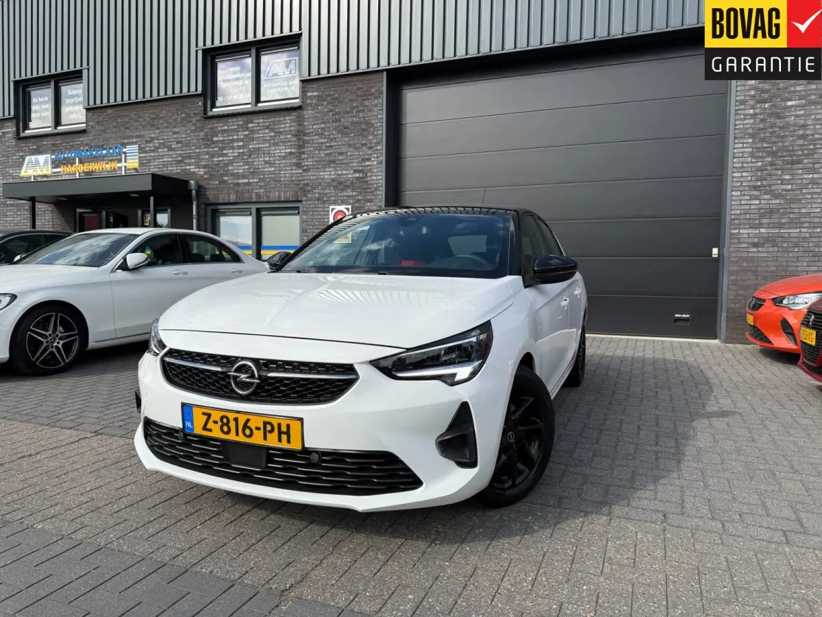 1.2 Turbo GS | 1E EIGENAAR | 3/6 OF 12MND GARANTIE | CARPLAY | LED | NAVI | CRUISE |