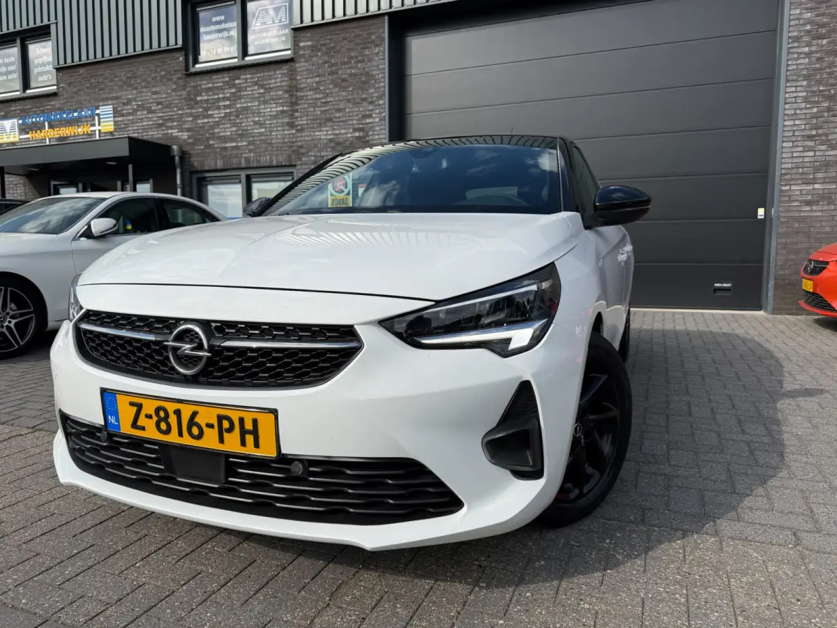 1.2 Turbo GS | 1E EIGENAAR | 3/6 OF 12MND GARANTIE | CARPLAY | LED | NAVI | CRUISE |