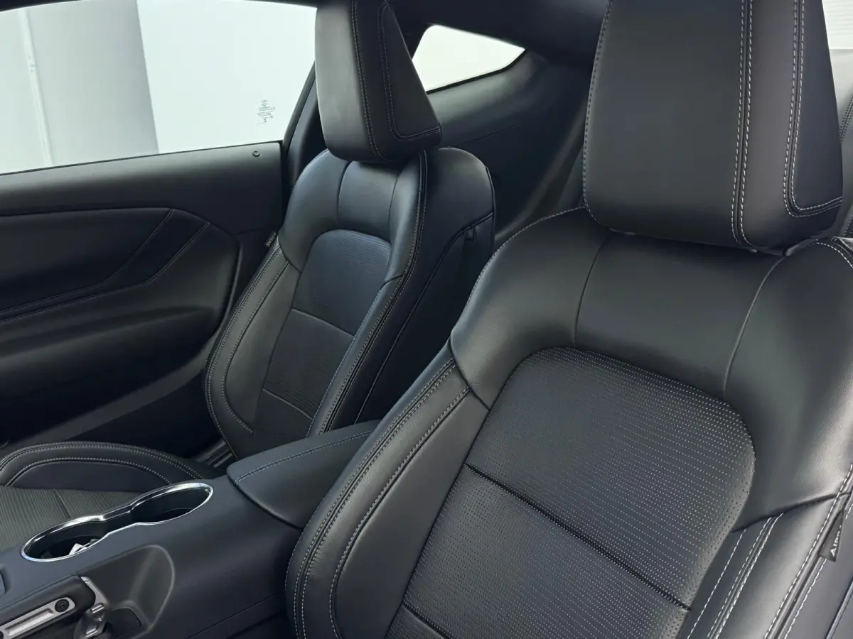 5.0 V8 GT Premium / Performance / Nite Pony / Maximale opties