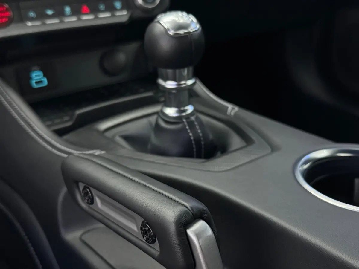 5.0 V8 GT Premium / Performance / Nite Pony / Maximale opties