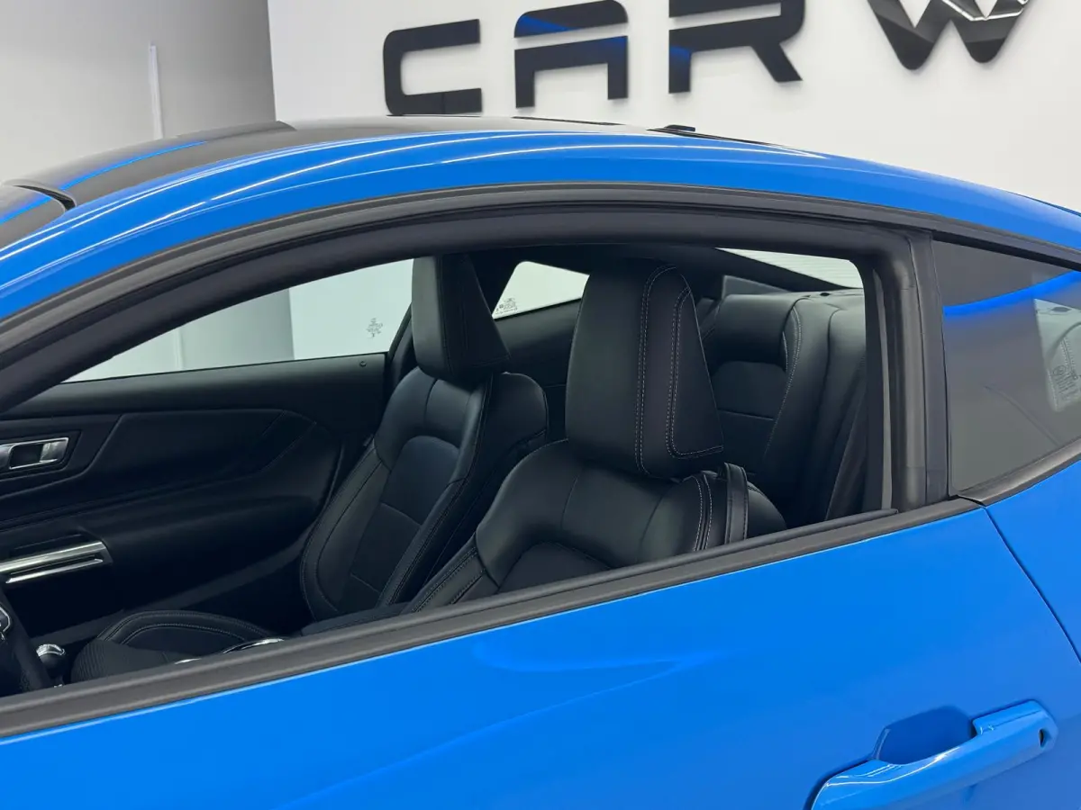 5.0 V8 GT Premium / Performance / Nite Pony / Maximale opties