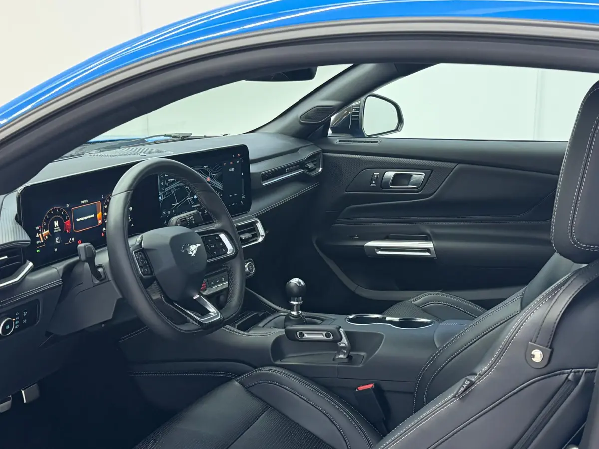 5.0 V8 GT Premium / Performance / Nite Pony / Maximale opties