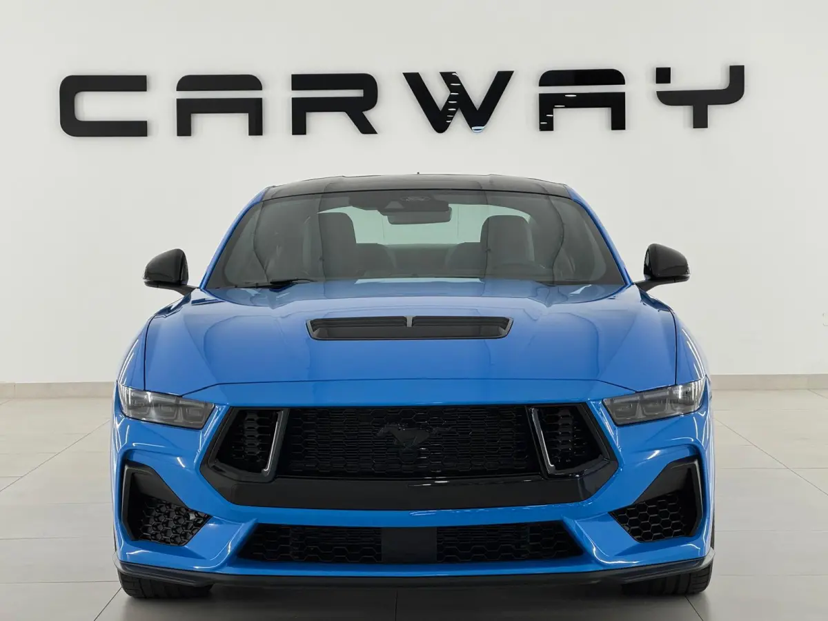 5.0 V8 GT Premium / Performance / Nite Pony / Maximale opties
