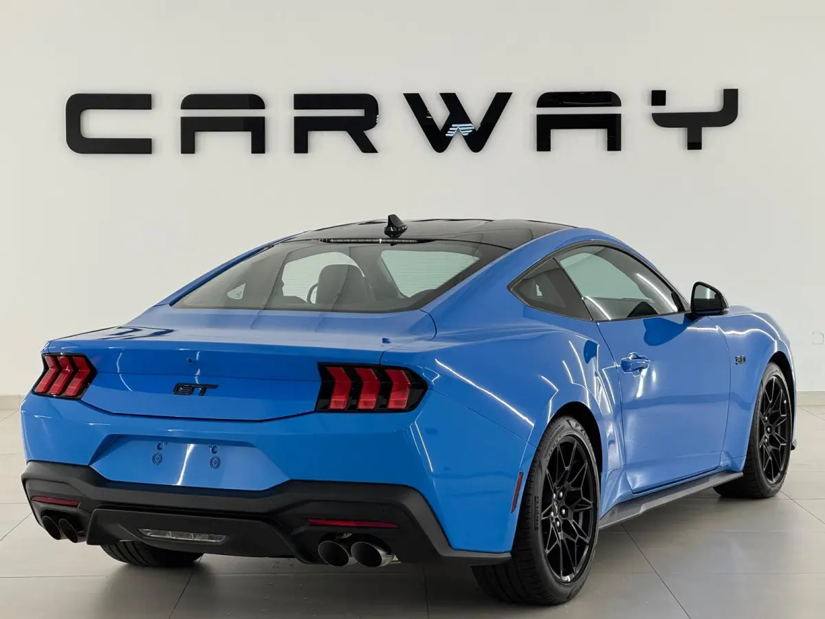 5.0 V8 GT Premium / Performance / Nite Pony / Maximale opties