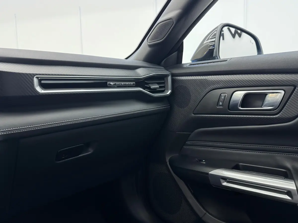 5.0 V8 GT Premium / Performance / Nite Pony / Maximale opties