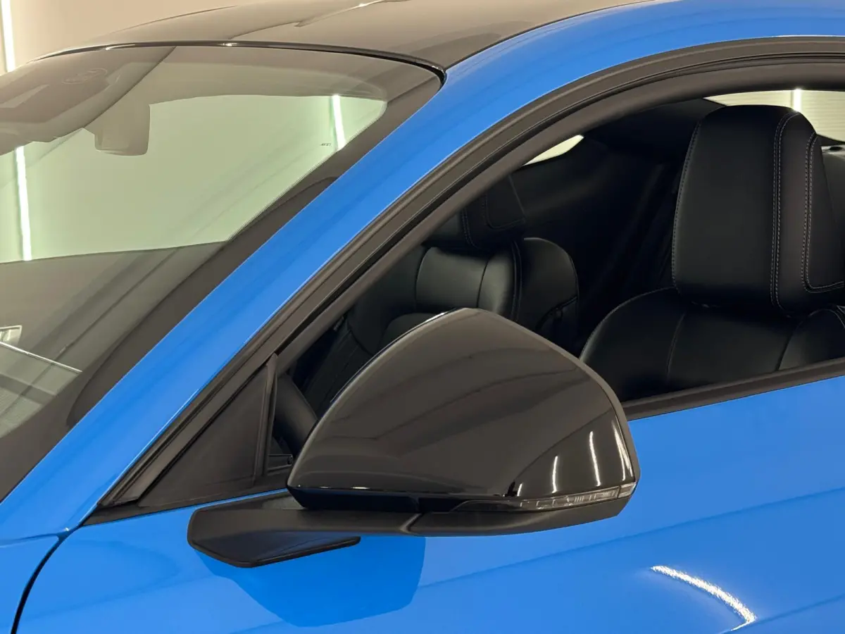 5.0 V8 GT Premium / Performance / Nite Pony / Maximale opties