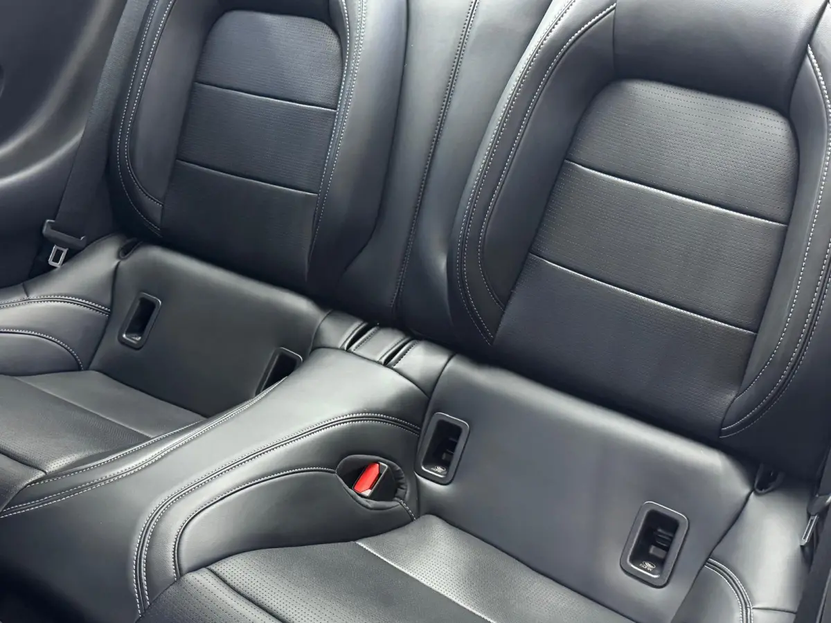 5.0 V8 GT Premium / Performance / Nite Pony / Maximale opties