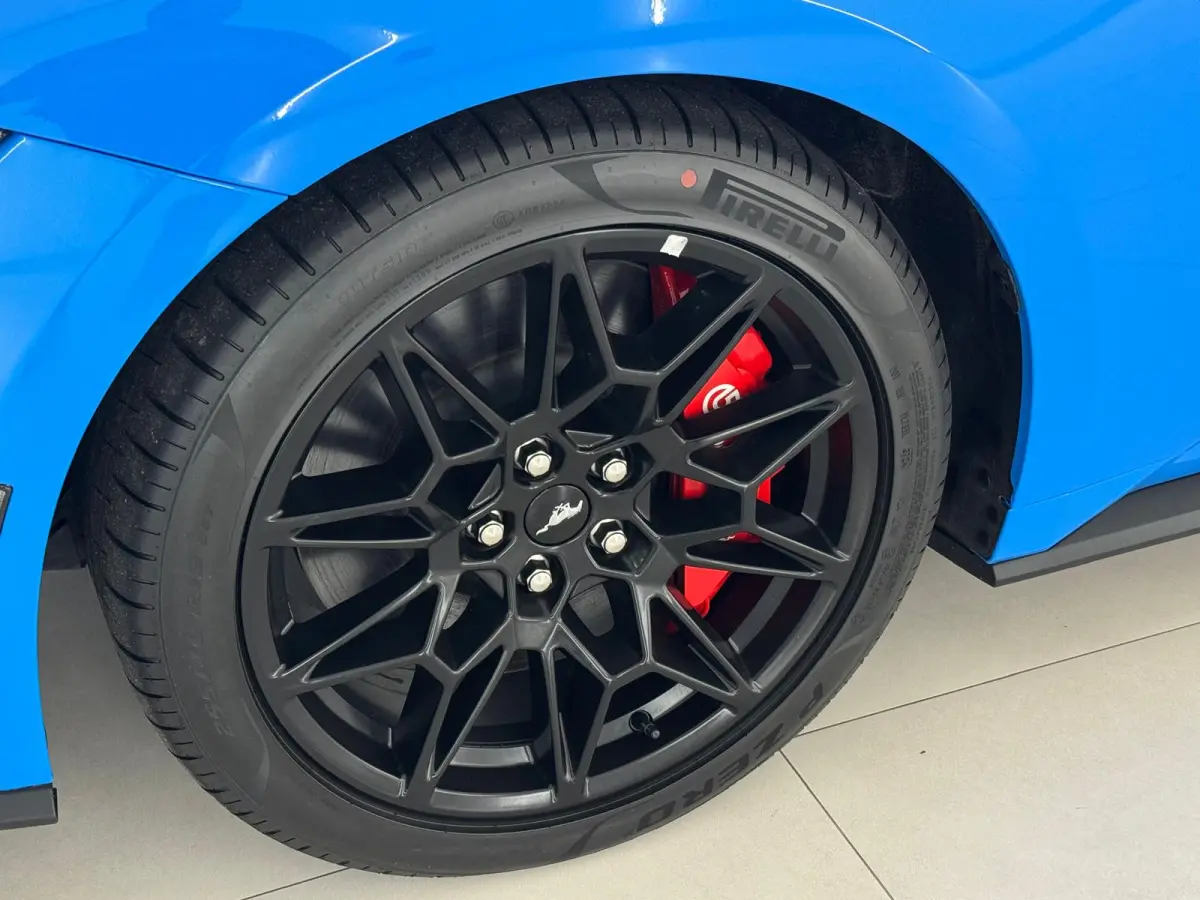 5.0 V8 GT Premium / Performance / Nite Pony / Maximale opties