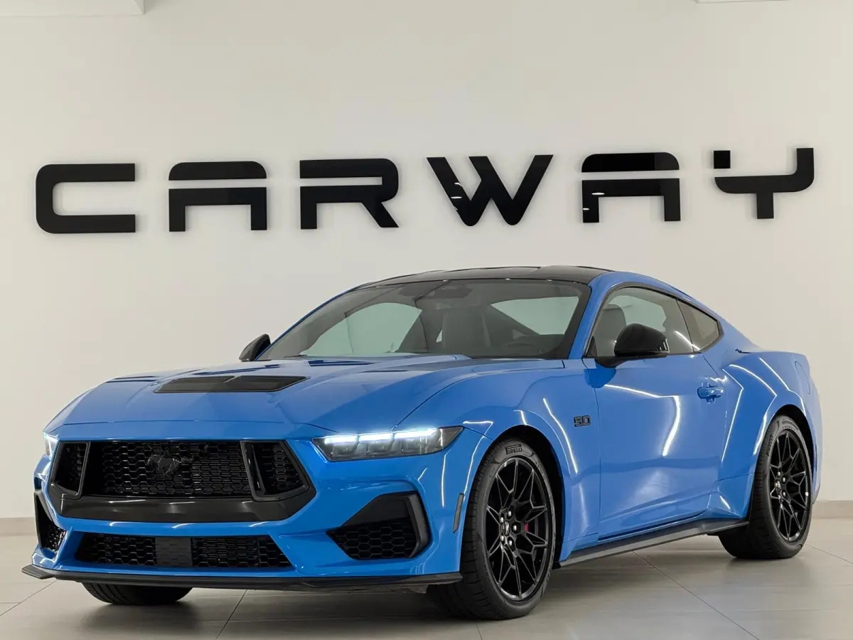 5.0 V8 GT Premium / Performance / Nite Pony / Maximale opties