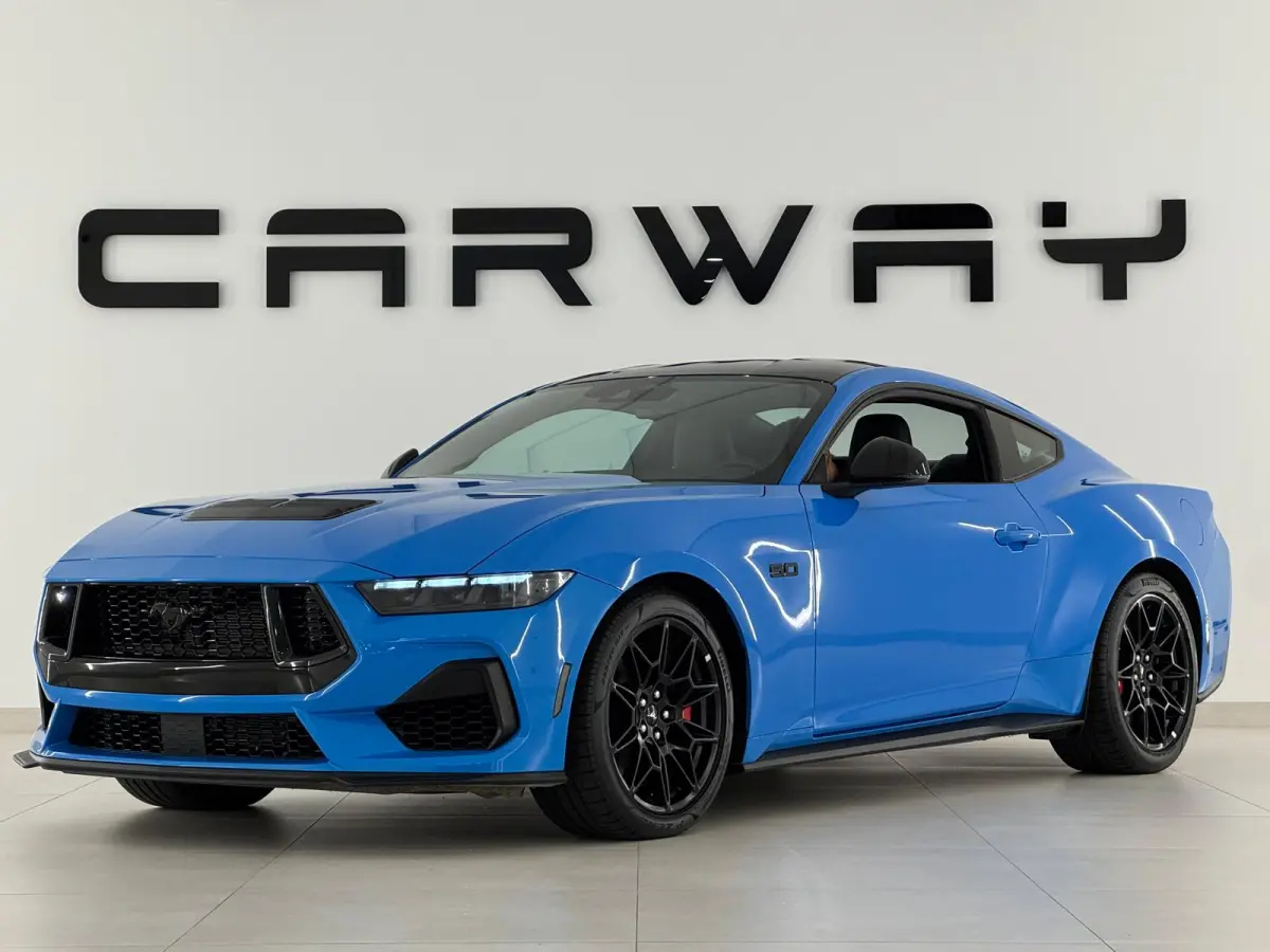5.0 V8 GT Premium / Performance / Nite Pony / Maximale opties