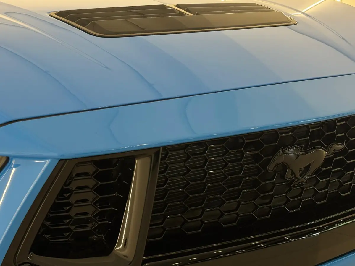 5.0 V8 GT Premium / Performance / Nite Pony / Maximale opties