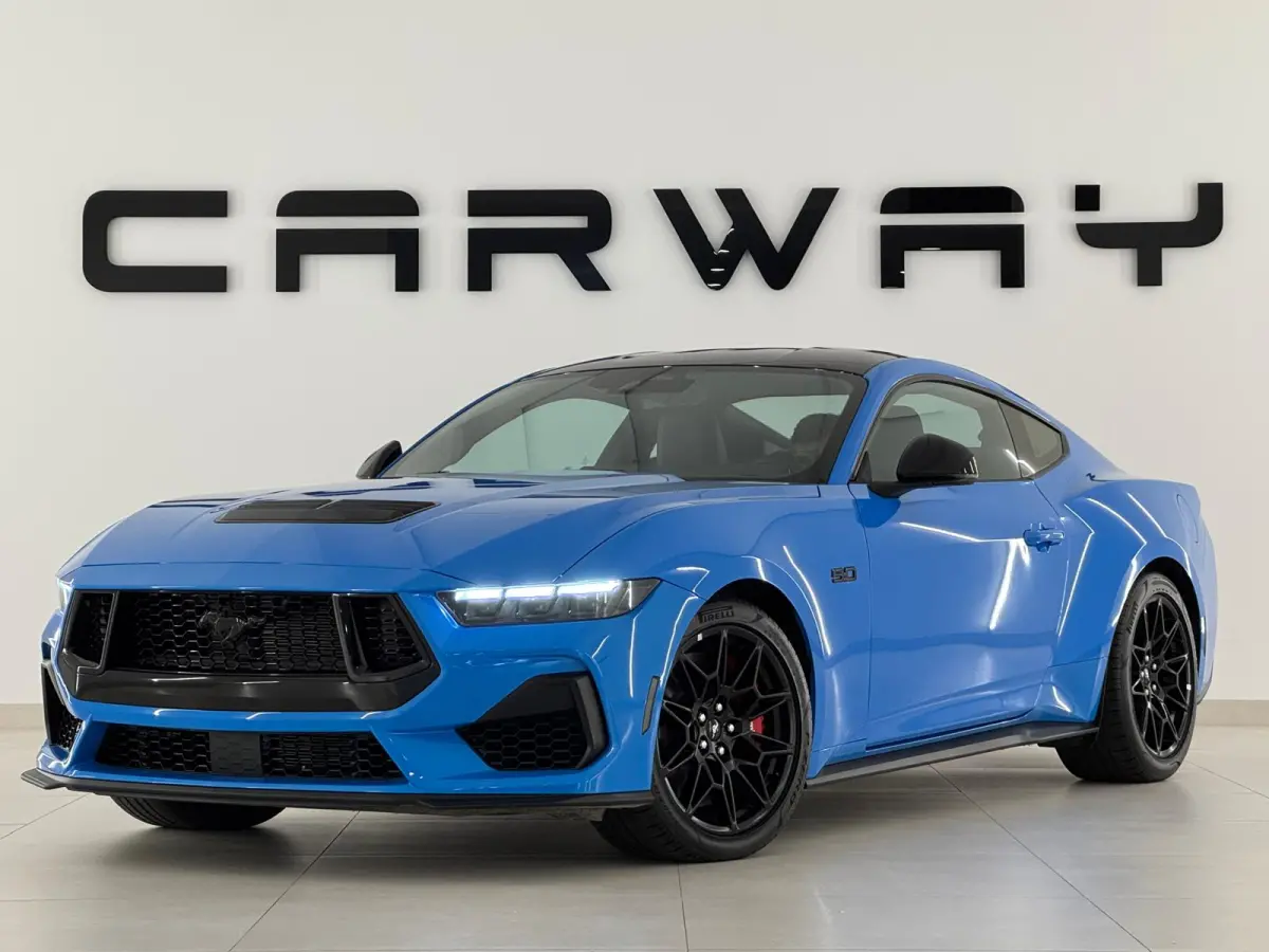 5.0 V8 GT Premium / Performance / Nite Pony / Maximale opties