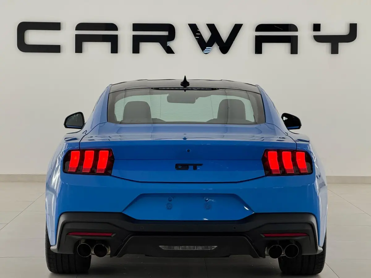 5.0 V8 GT Premium / Performance / Nite Pony / Maximale opties