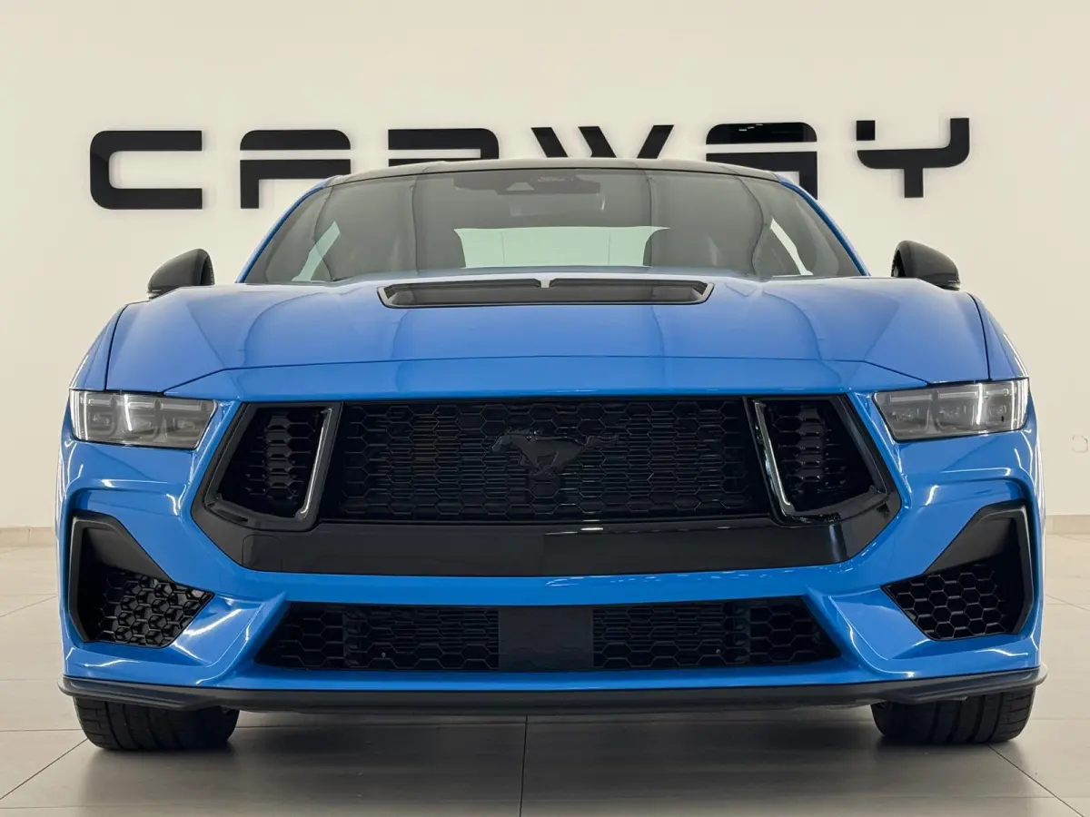5.0 V8 GT Premium / Performance / Nite Pony / Maximale opties