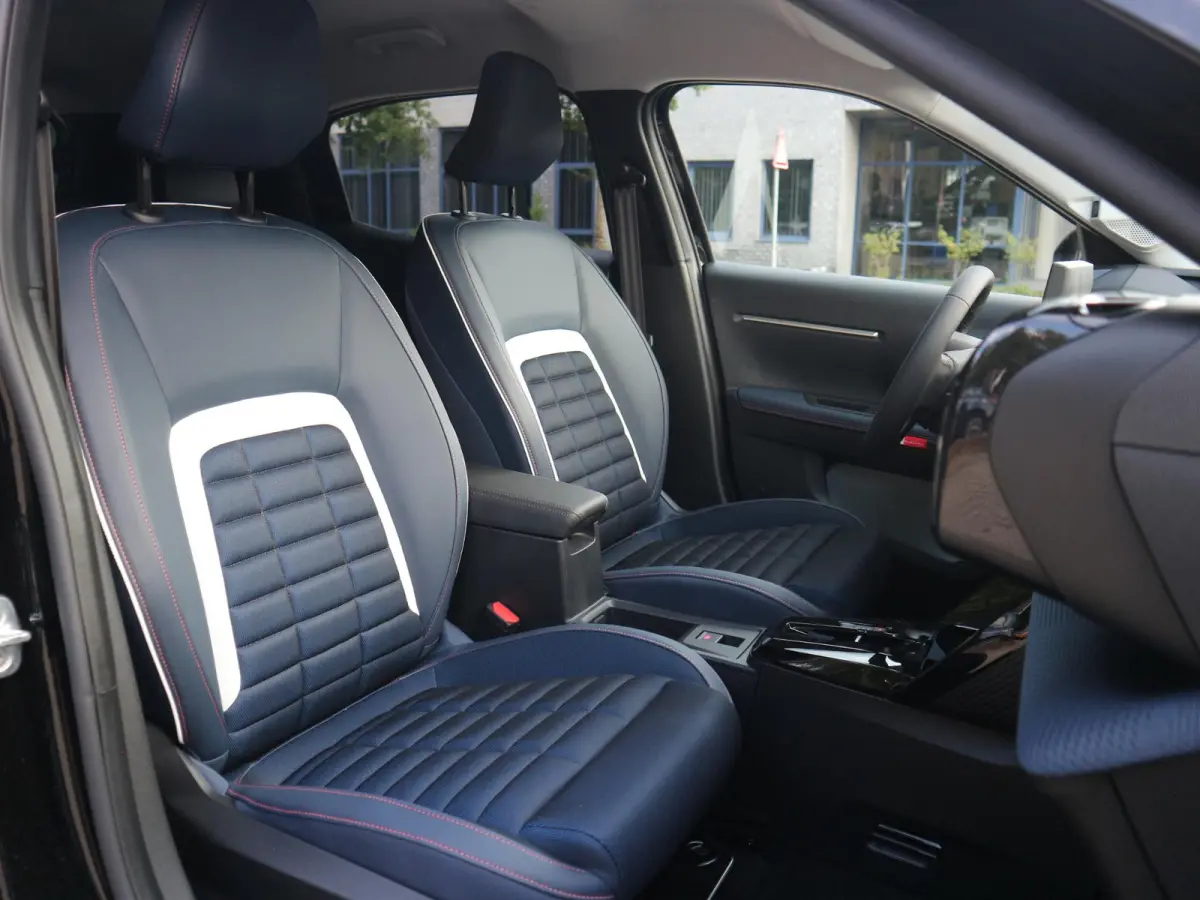 Collection 113pk Extended Range 54 kWh / Camera / Keyless / Start-Stop