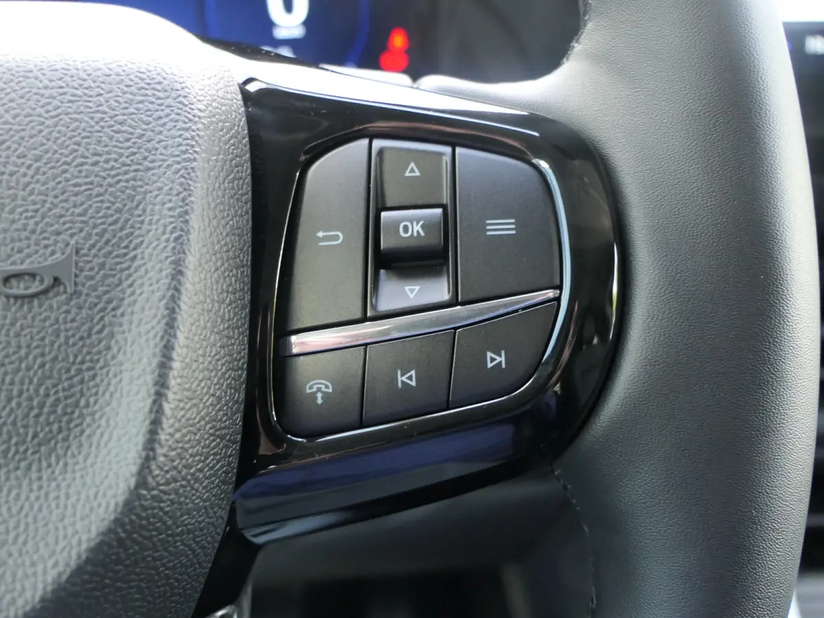 Tourneo 340 2.5 PHEV L2H1 Titanium X | Leder | Panoramdak | B&O Audio | BLIS | Adaptive Cruise | Adaptive LED | Elek. Stoelen |