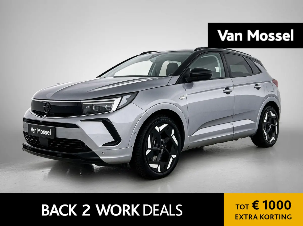 1.6 Turbo Plug-In Hybrid 4x4 GSe | Camera | Navigatie | 300pk!