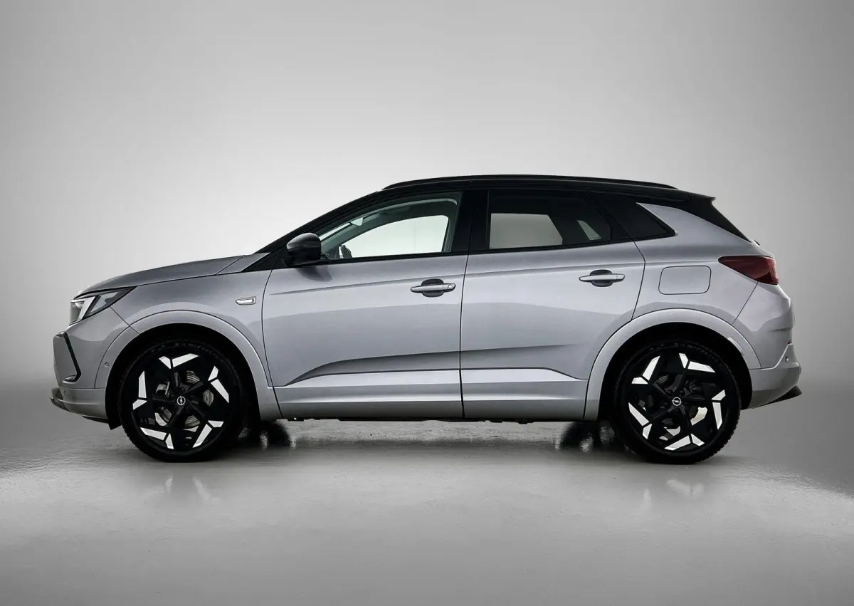 1.6 Turbo Plug-In Hybrid 4x4 GSe | Camera | Navigatie | 300pk!