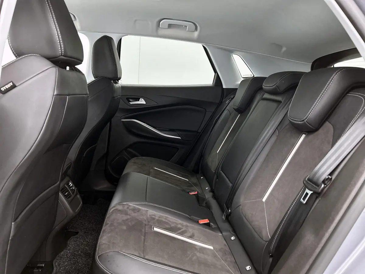 1.6 Turbo Plug-In Hybrid 4x4 GSe | Camera | Navigatie | 300pk!
