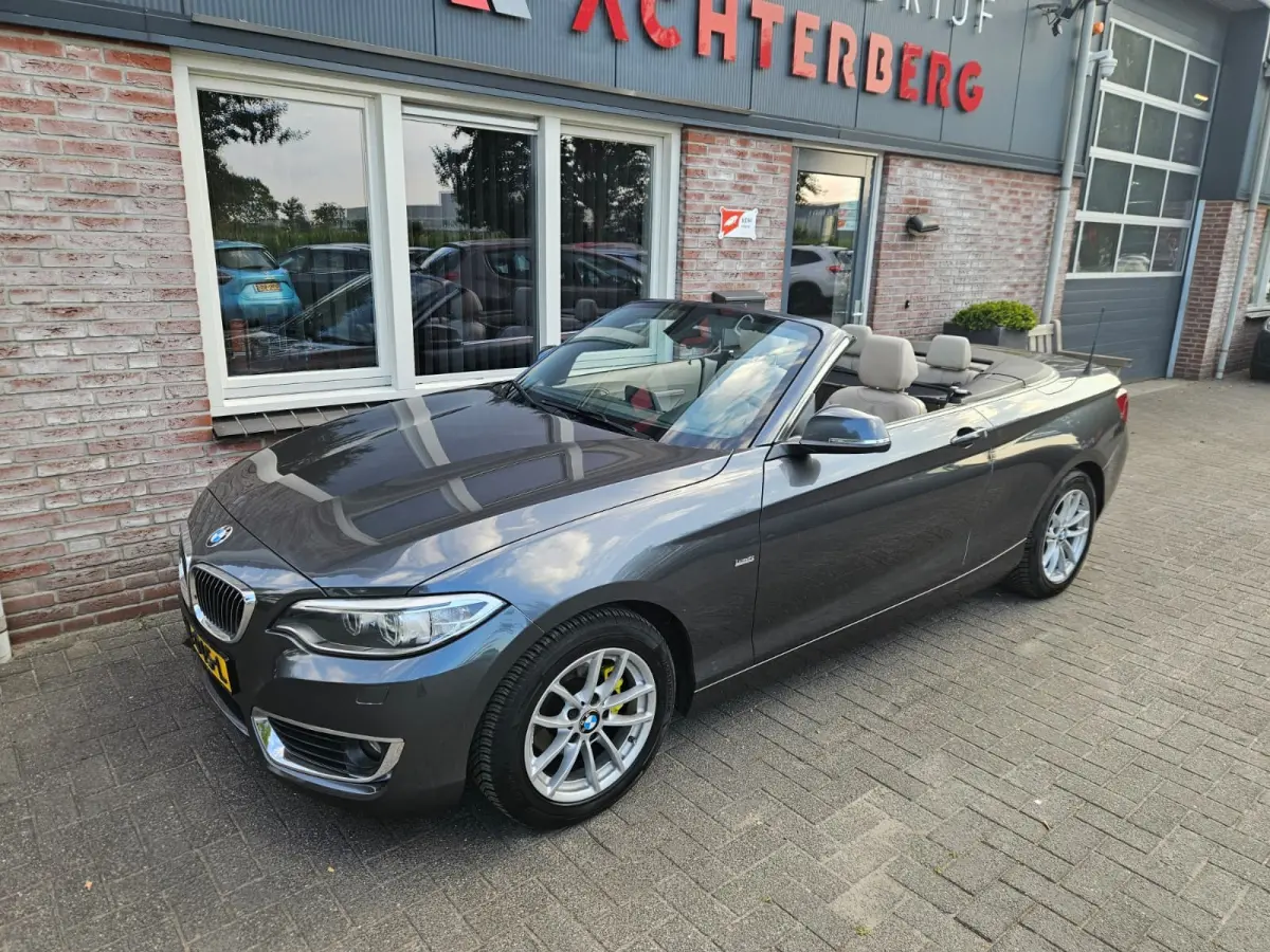 218i Executive Automaat! NAP! Leer! Airco/Clima! Cruise Control! Leuke Auto!