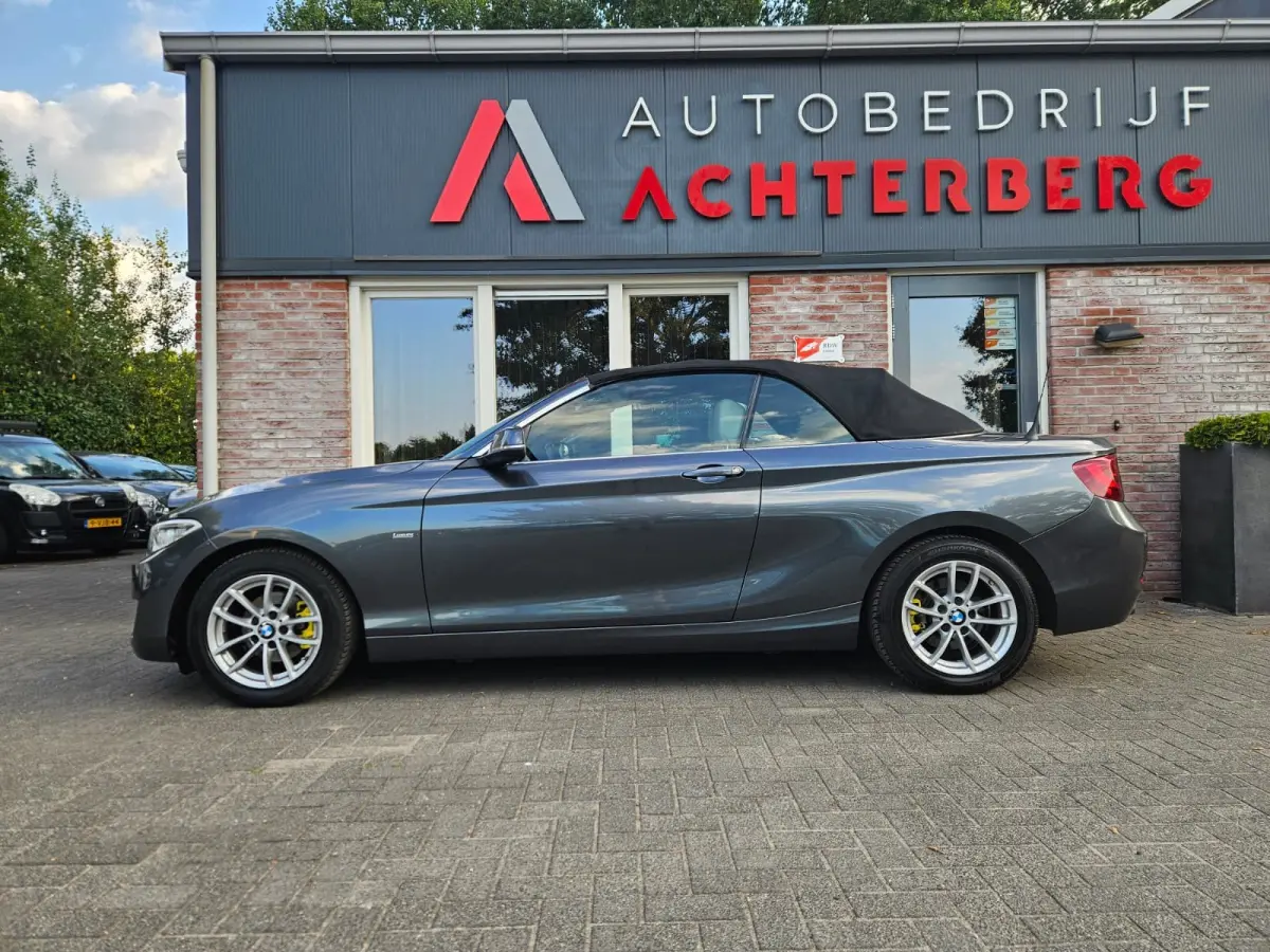 218i Executive Automaat! NAP! Leer! Airco/Clima! Cruise Control! Leuke Auto!