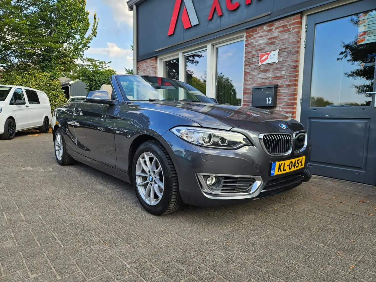 218i Executive Automaat! NAP! Leer! Airco/Clima! Cruise Control! Leuke Auto!