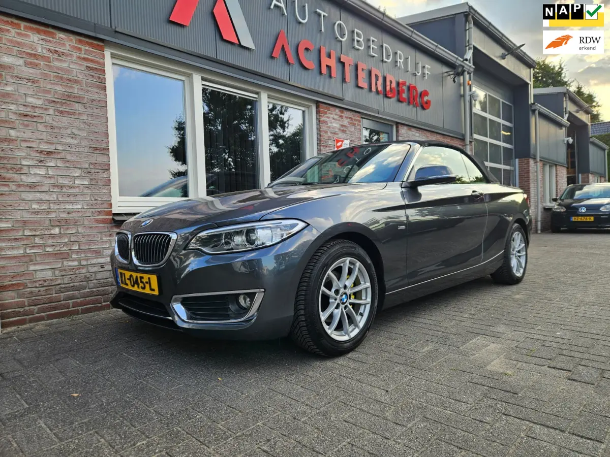 218i Executive Automaat! NAP! Leer! Airco/Clima! Cruise Control! Leuke Auto!