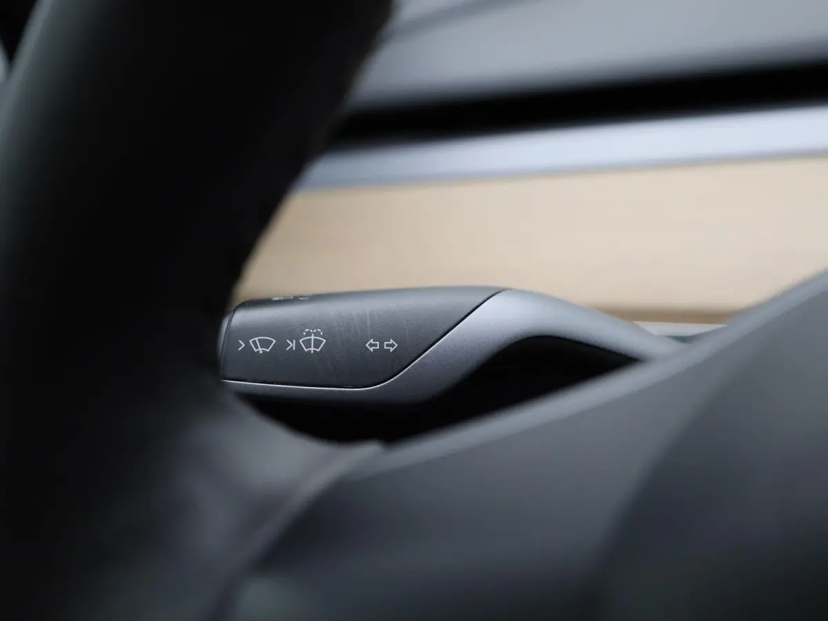 Standard RWD Plus 60 kWh | Panoramadak | Stoelverwarming | Climate Control | LED |
