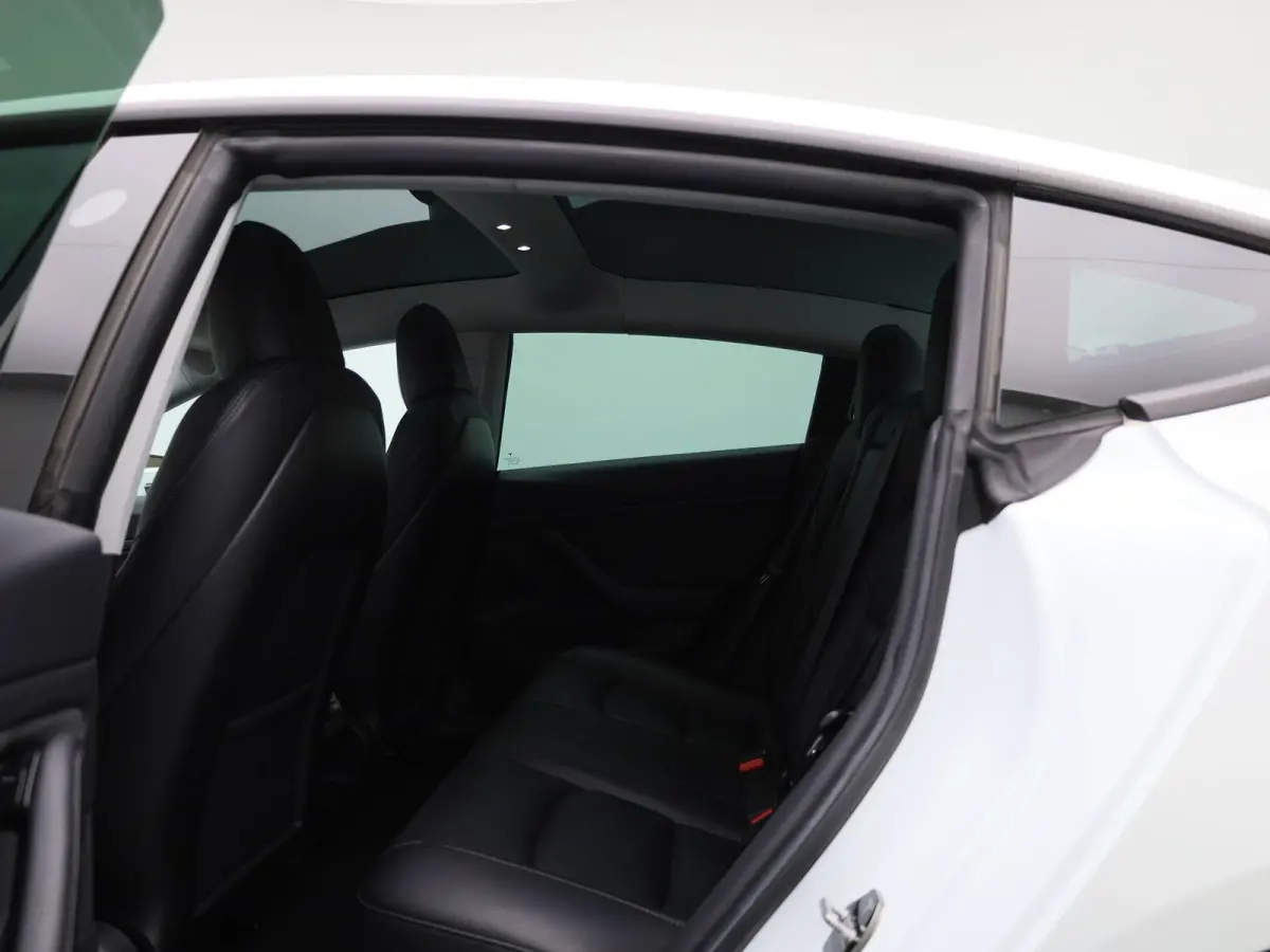 Standard RWD Plus 60 kWh | Panoramadak | Stoelverwarming | Climate Control | LED |
