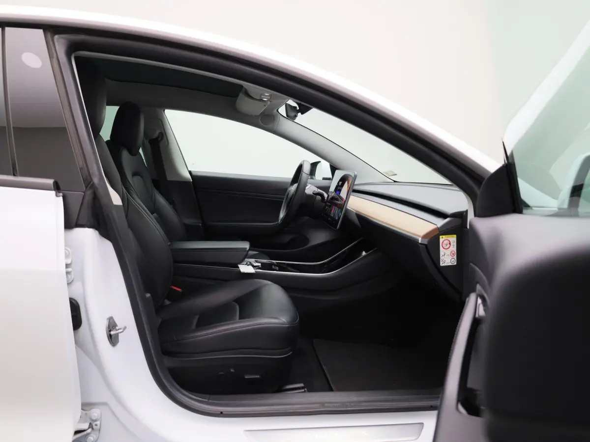 Standard RWD Plus 60 kWh | Panoramadak | Stoelverwarming | Climate Control | LED |