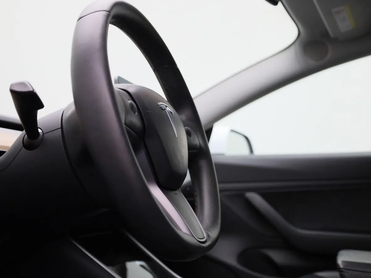 Standard RWD Plus 60 kWh | Panoramadak | Stoelverwarming | Climate Control | LED |