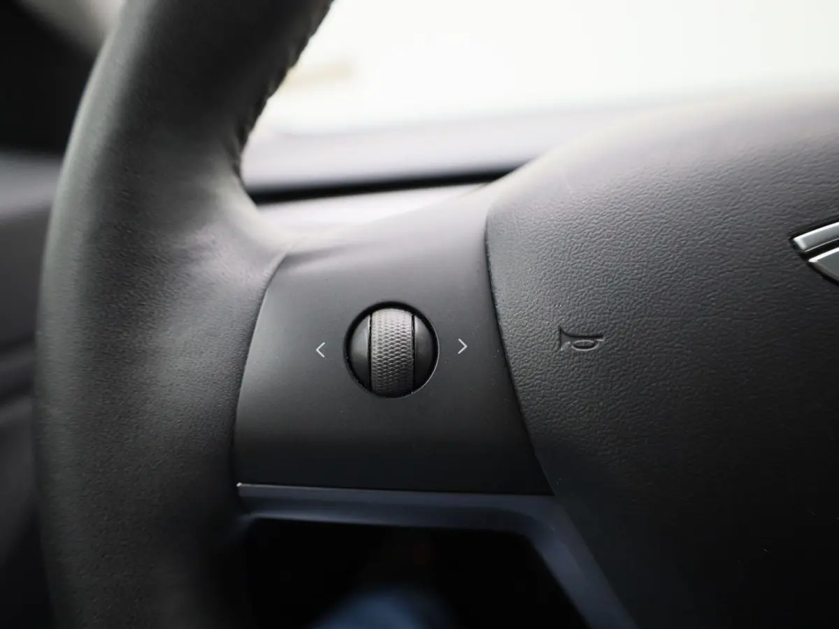 Standard RWD Plus 60 kWh | Panoramadak | Stoelverwarming | Climate Control | LED |