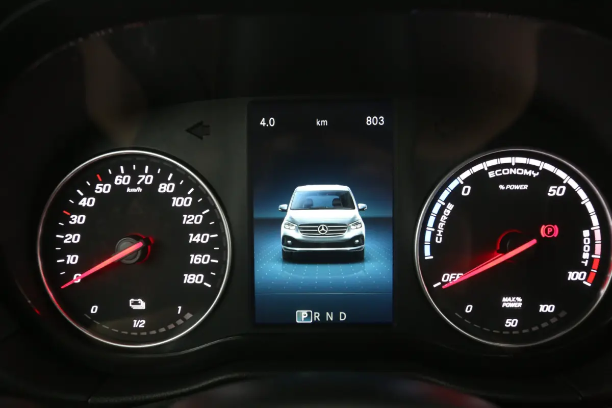 Elektrisch Pro 51 kWh 123PK | SOH 98% | Clima | Cruise | Carplay | Parkeersens.