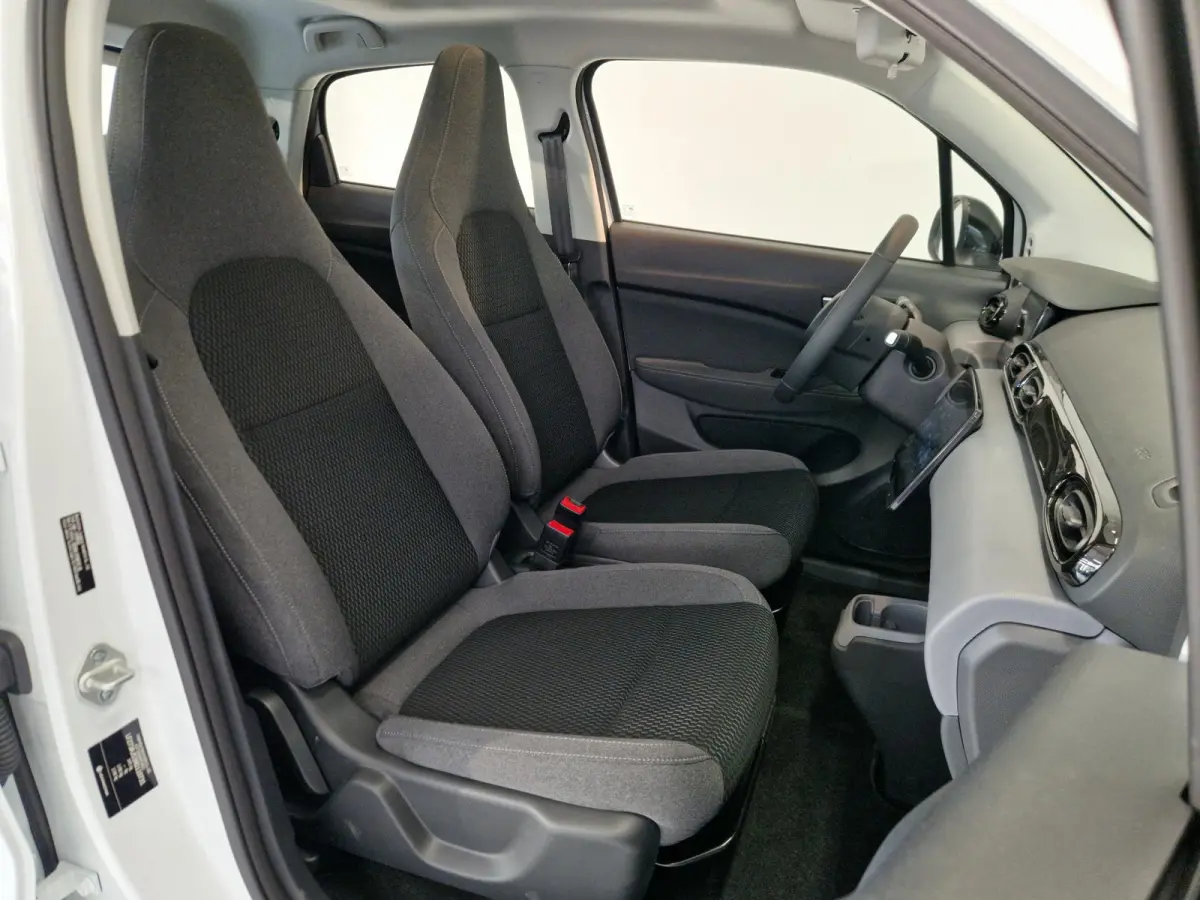 Design 37.3 kWh | Navigatie | Cruise control