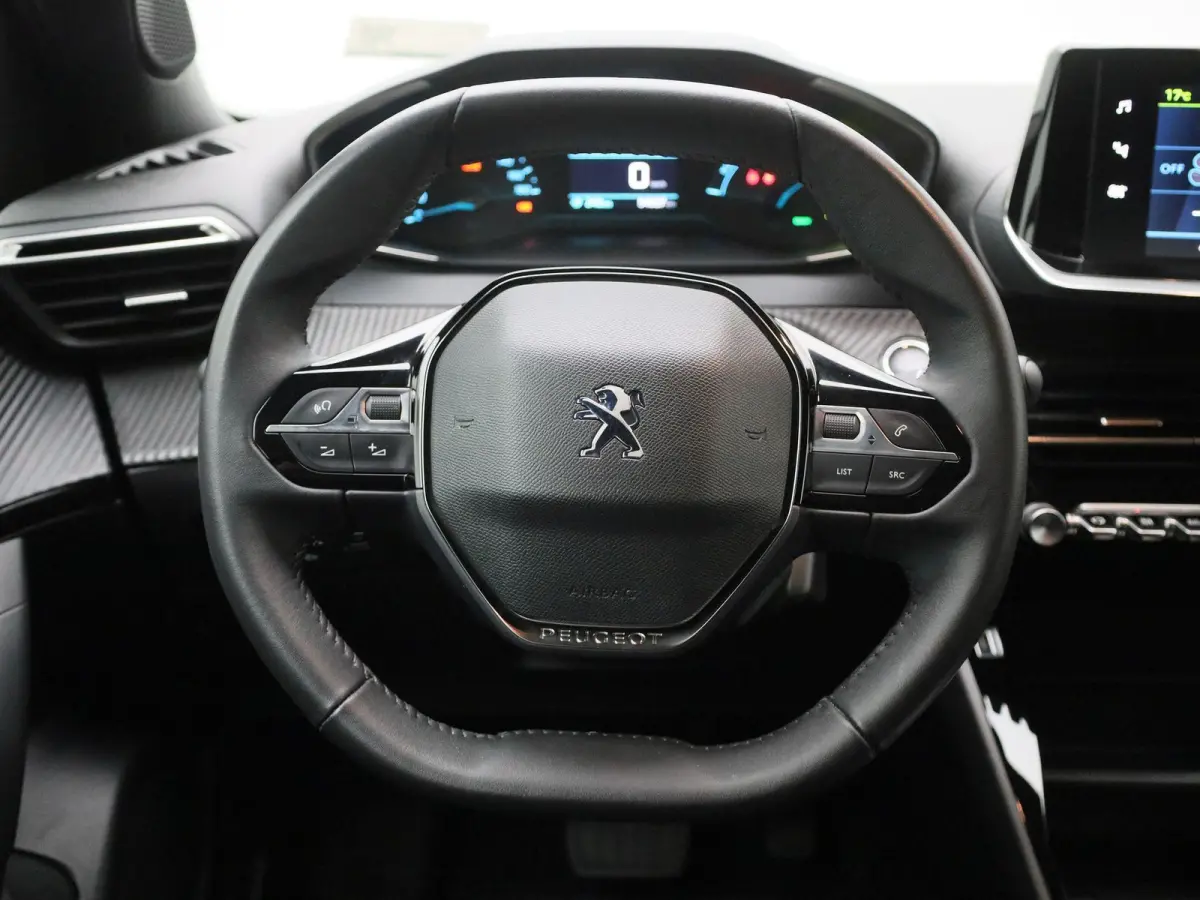 EV Active Pack 50 kWh | Carplay | Navigatie | Bluetooth | CruiseControl |