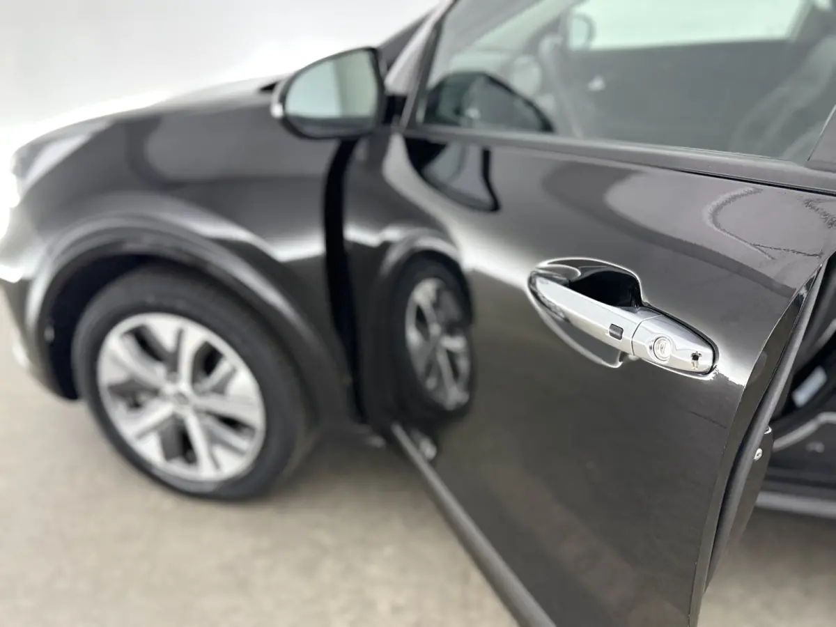 DynamicLine 64 kWh | Snelladen | SOH 95% |  Clima | Cruise | Camera | Carplay | Navi | NAP
